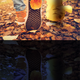 Image for article titled Kotaku 'Shop Contest: Autumn Game Harvest, Winners!